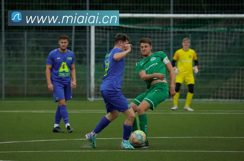 App Interface Preview